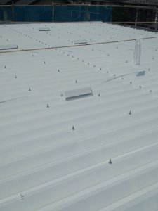 20130902222443.jpg