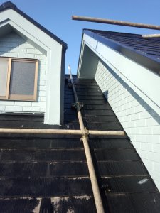 20131029232421.jpg