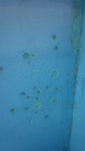 20150330185413.jpg