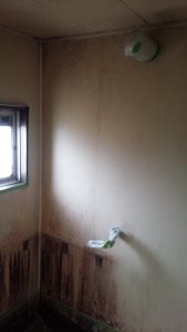 20150422201345.jpg