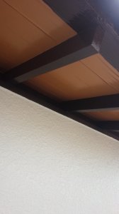 20161018214556.jpg