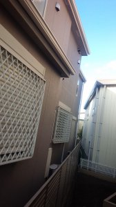 20161203204544.jpg