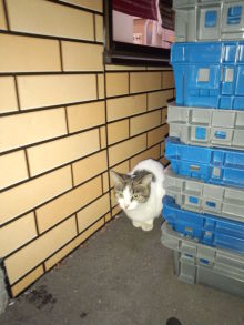 新栄塗装ブログ 外壁塗装 塗り替えならお任せ！埼玉県新座市